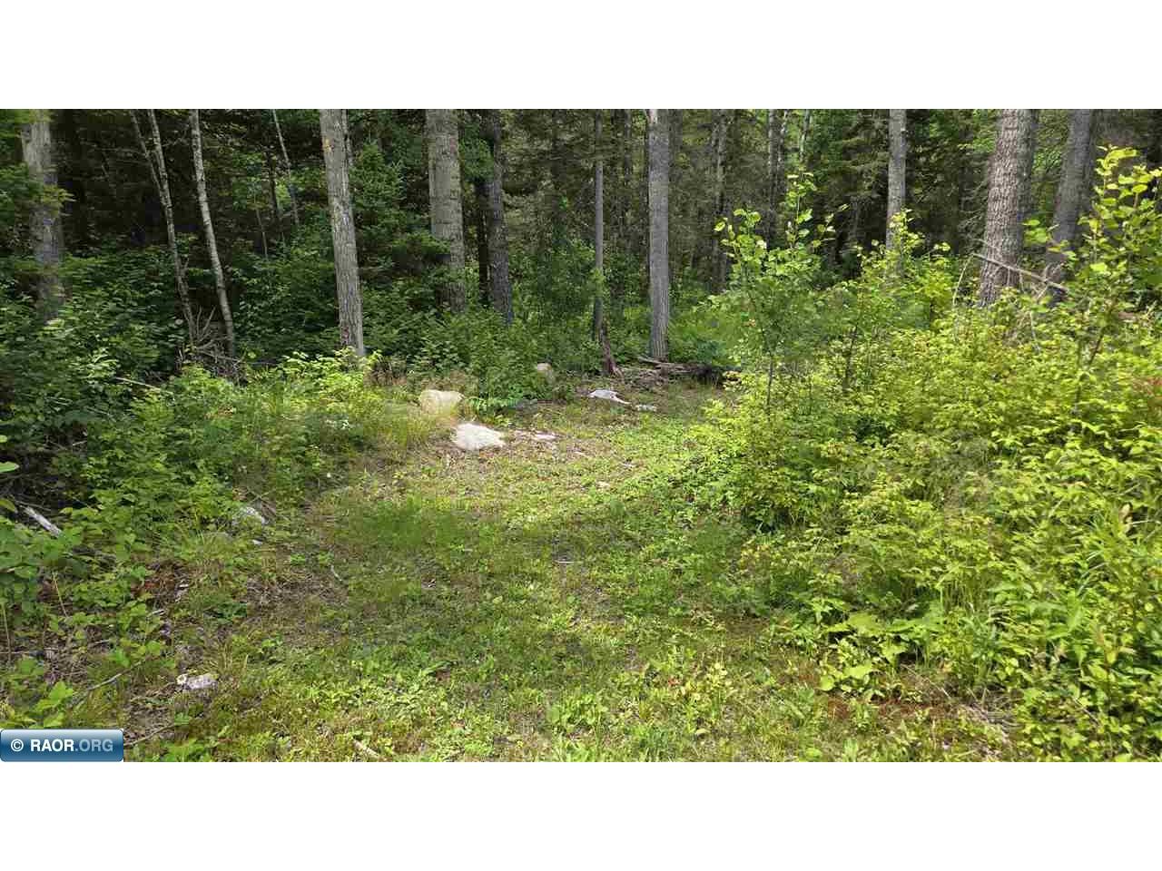 163 Rollick Creek Crane Lake MN 55725 - Crane 148706 image39