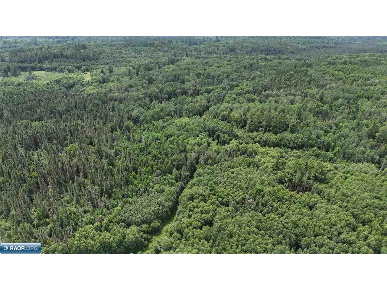 163 Rollick Creek Crane Lake MN 55725 - Crane 148706 image42