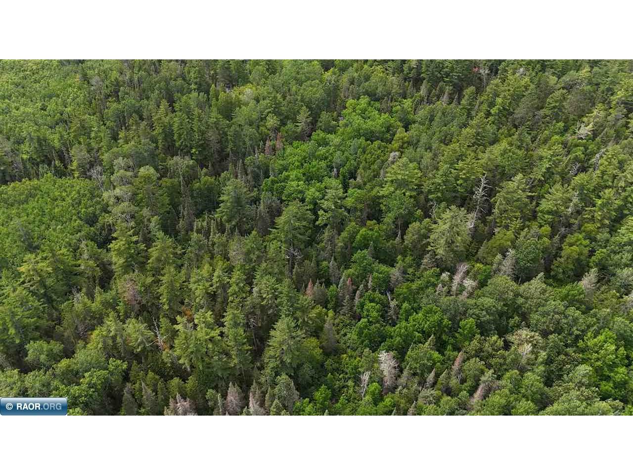 163 Rollick Creek Crane Lake MN 55725 - Crane 148706 image43