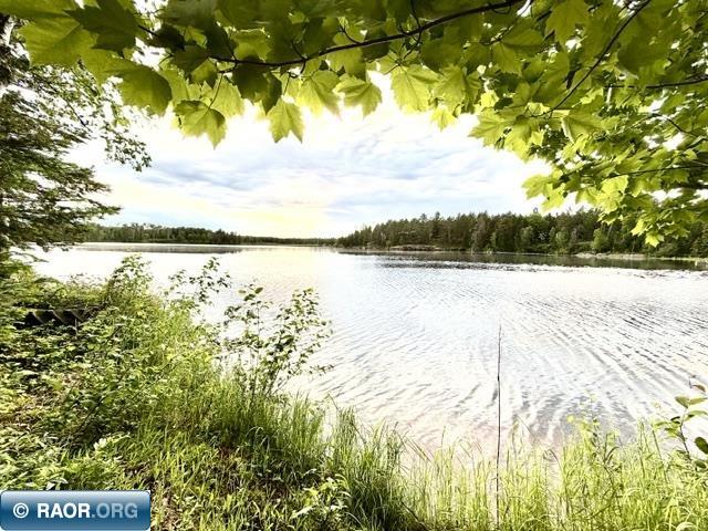 1804 North Bay Road Ely MN 55731 - Birch 149593 image46