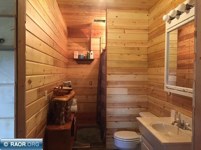 1915 Lynx Island International Falls MN 56649 - Rainy 149222 image6