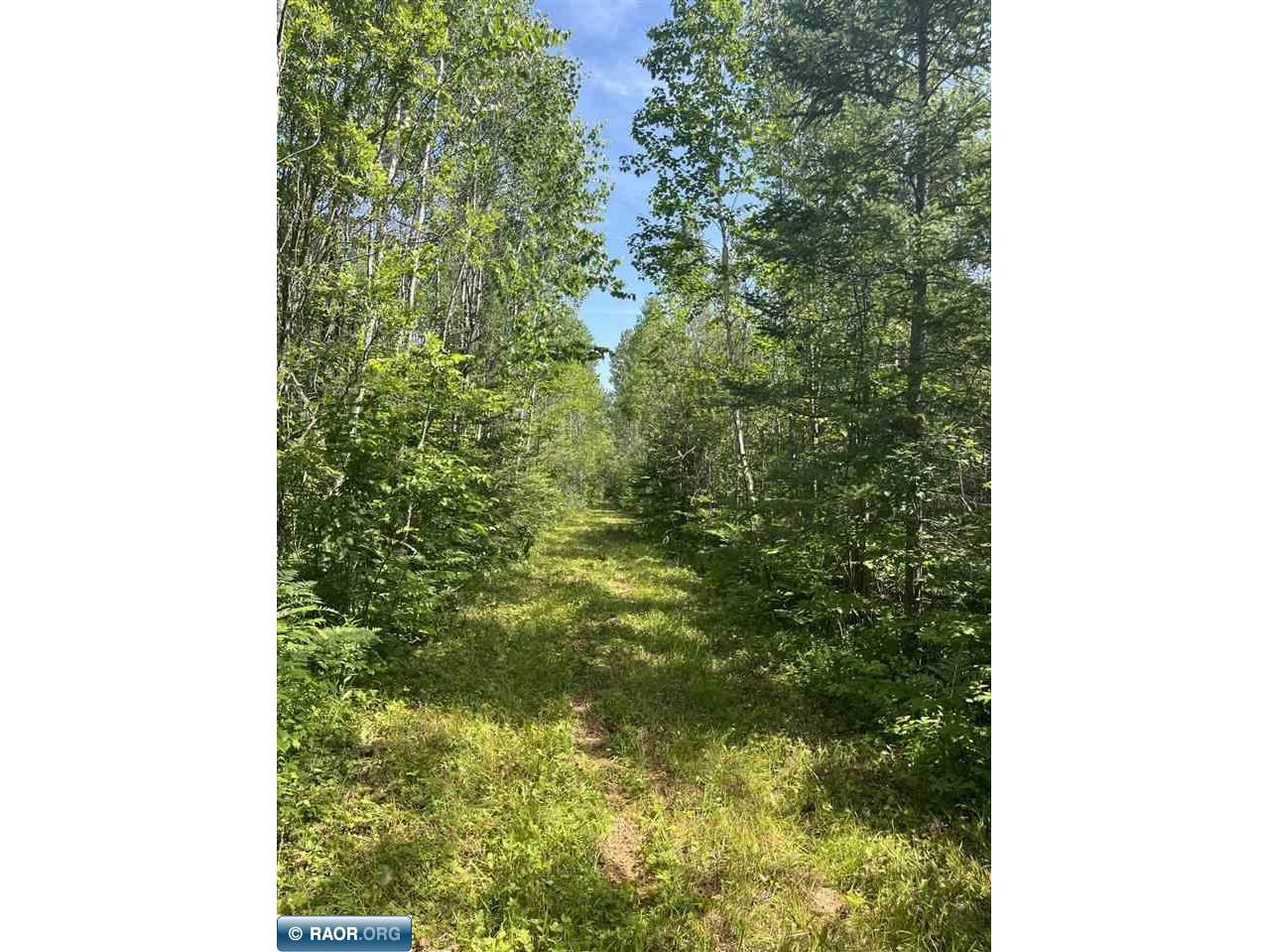 1961 Town Road 118 Birchdale MN 56629 147821 image1