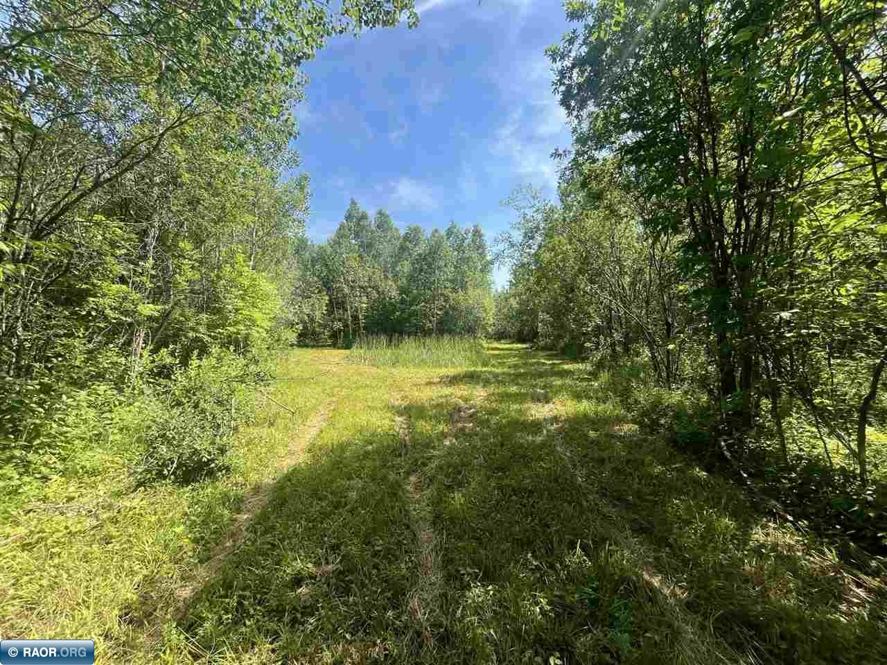 1961 Town Road 118 Birchdale MN 56629 147821 image18