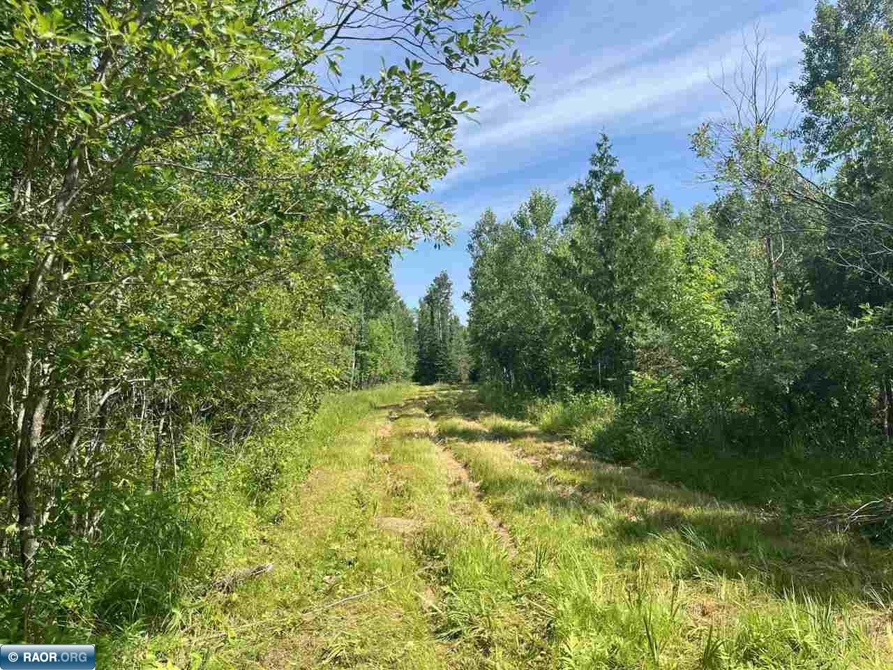 1961 Town Road 118 Birchdale MN 56629 147821 image2