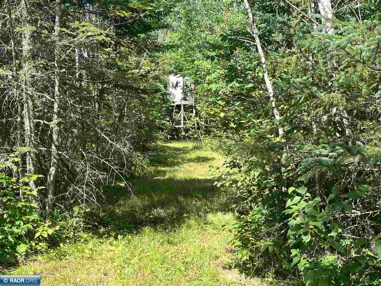 1961 Town Road 118 Birchdale MN 56629 147821 image21