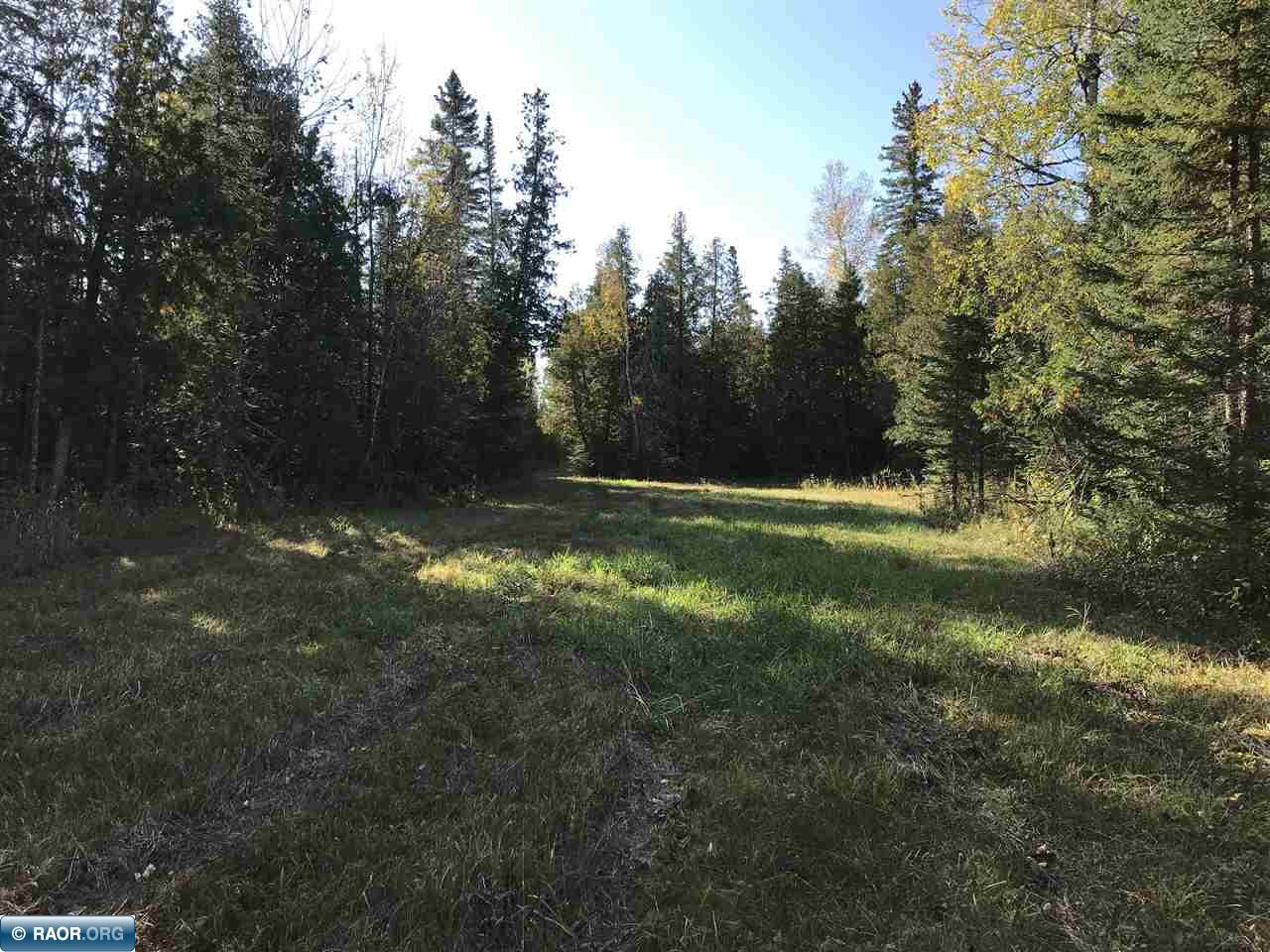 1961 Town Road 118 Birchdale MN 56629 147821 image24