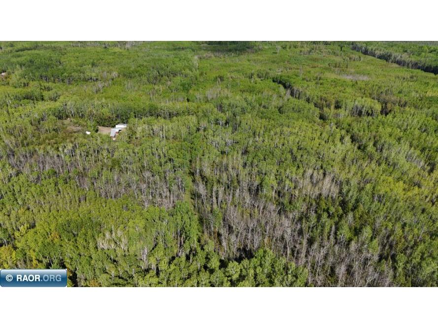 1961 Town Road 118 Birchdale MN 56629 147821 image36