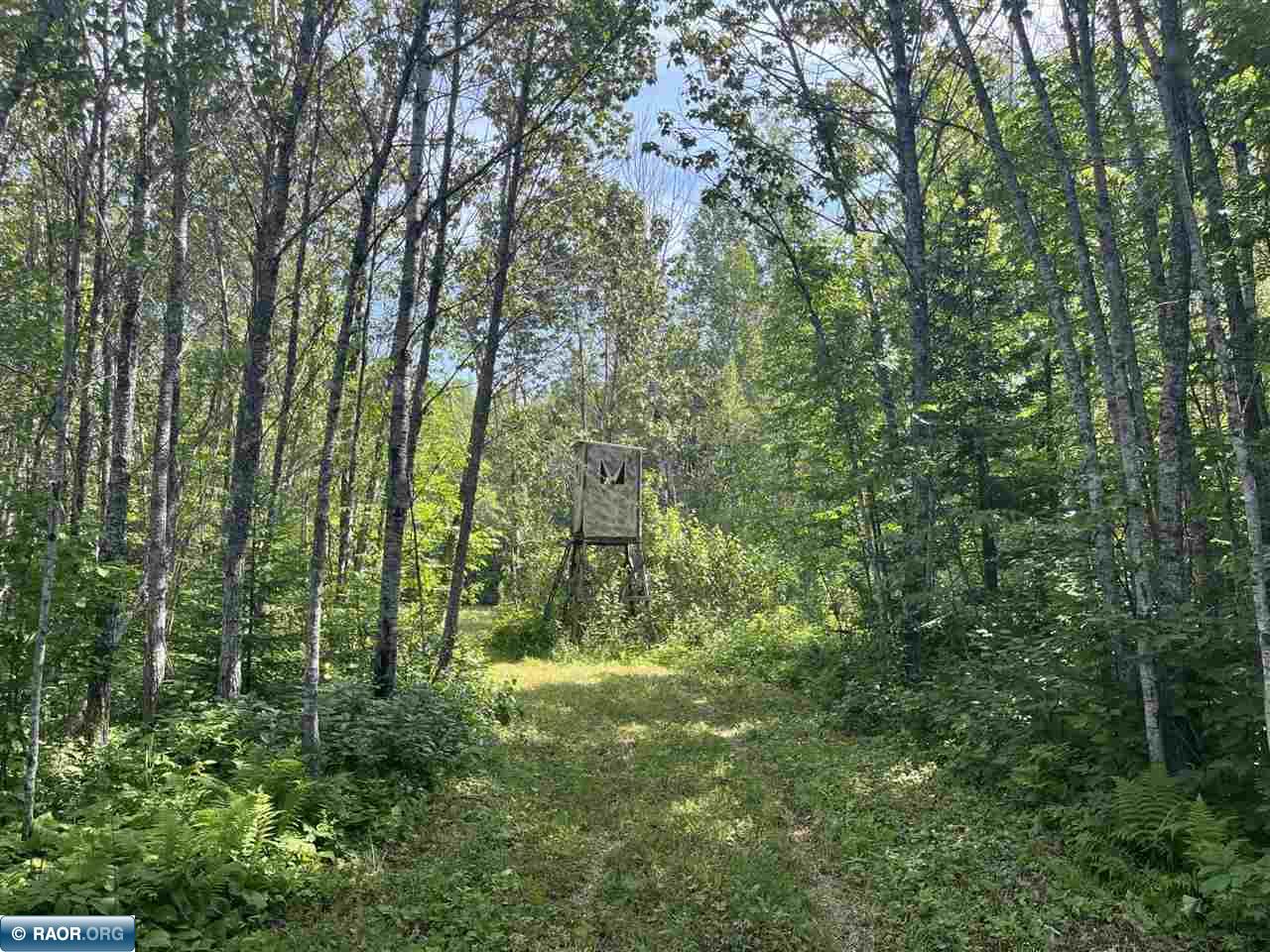 1961 Town Road 118 Birchdale MN 56629 147821 image4