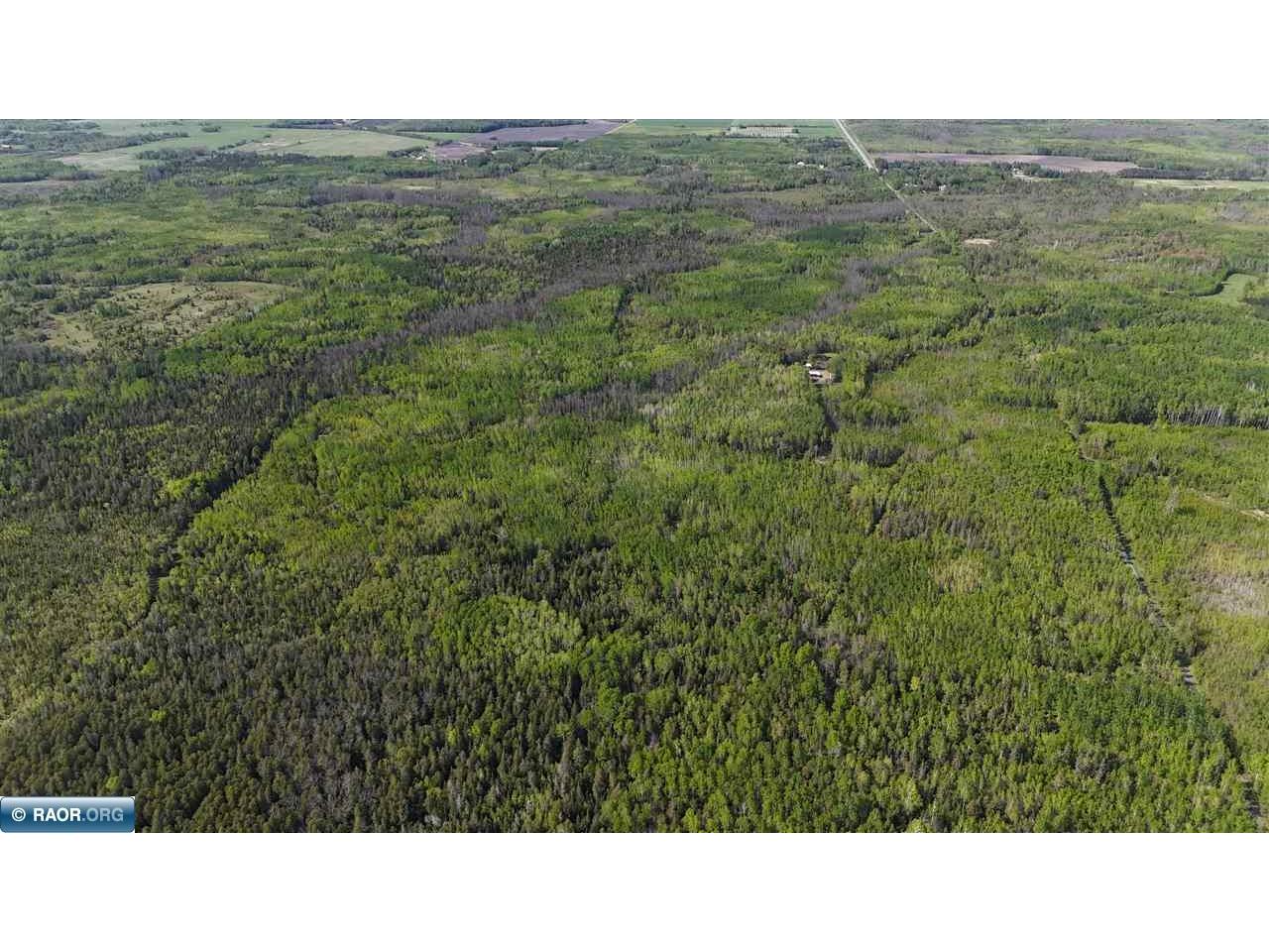 1961 Town Road 118 Birchdale MN 56629 147821 image41