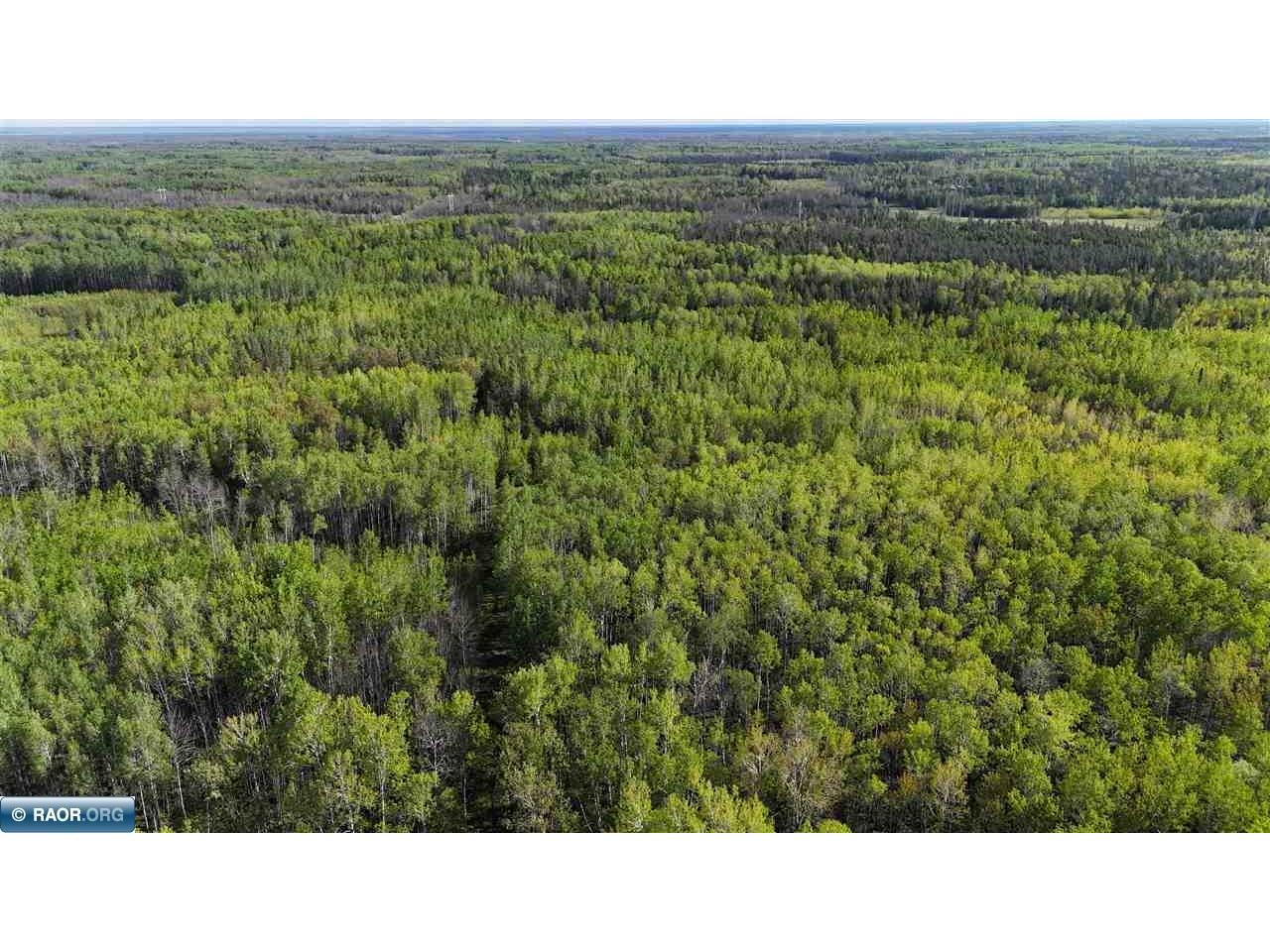 1961 Town Road 118 Birchdale MN 56629 147821 image43