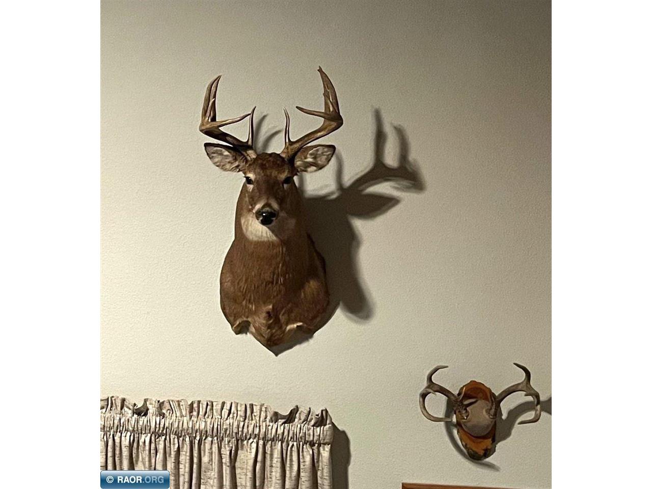 1961 Town Road 118 Birchdale MN 56629 147821 image46