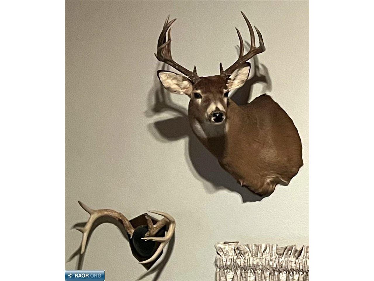 1961 Town Road 118 Birchdale MN 56629 147821 image47