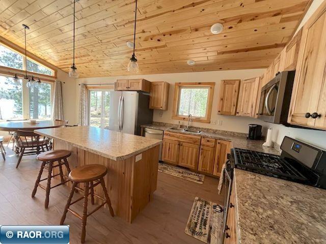 20411 Co Rd 52 Cook MN 55723 - Little Bear Lake 149908 image14