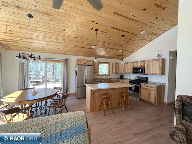 20411 Co Rd 52 Cook MN 55723 - Little Bear Lake 149908 image15
