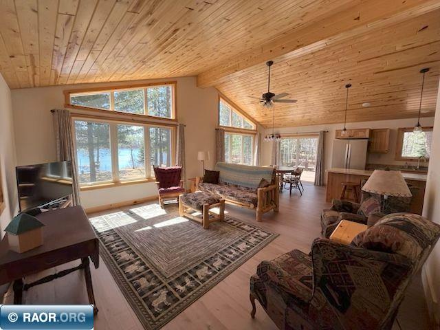 20411 Co Rd 52 Cook MN 55723 - Little Bear Lake 149908 image16