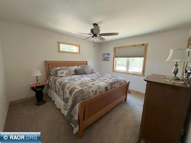 20411 Co Rd 52 Cook MN 55723 - Little Bear Lake 149908 image19