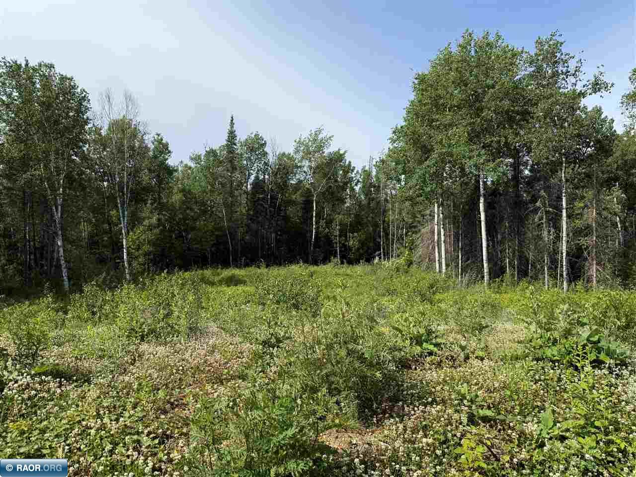 2101 Sibley Court Ely MN 55731 148607 image2