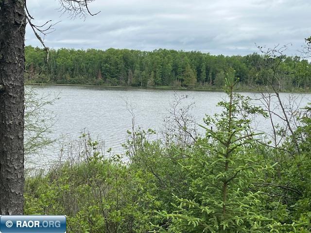 2217 Michael Beach Rd. Zim MN 55738 - West Stone Lake 148588 image28