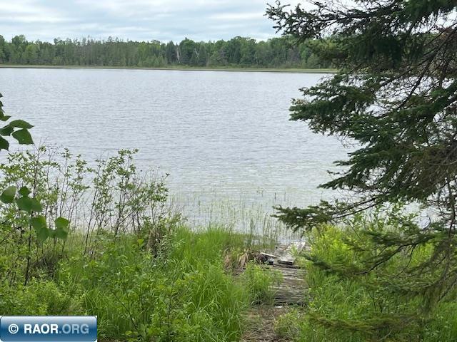 2217 Michael Beach Rd. Zim MN 55738 - West Stone Lake 148588 image29