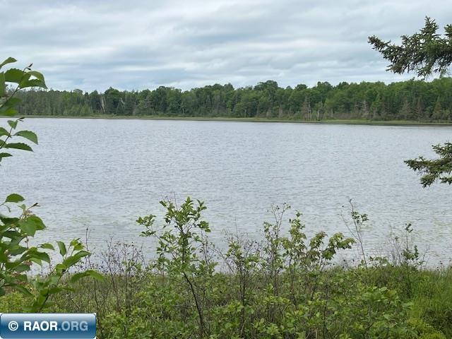 2217 Michael Beach Rd. Zim MN 55738 - West Stone Lake 148588 image30