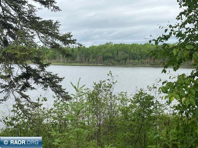 2217 Michael Beach Rd. Zim MN 55738 - West Stone Lake 148588 image31