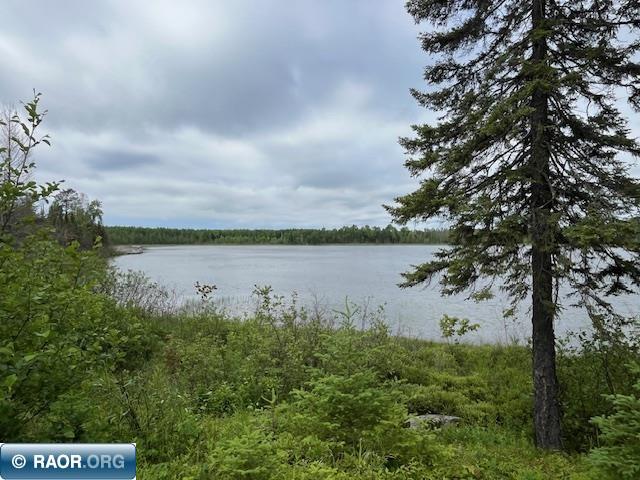 2217 Michael Beach Rd. Zim MN 55738 - West Stone Lake 148588 image33