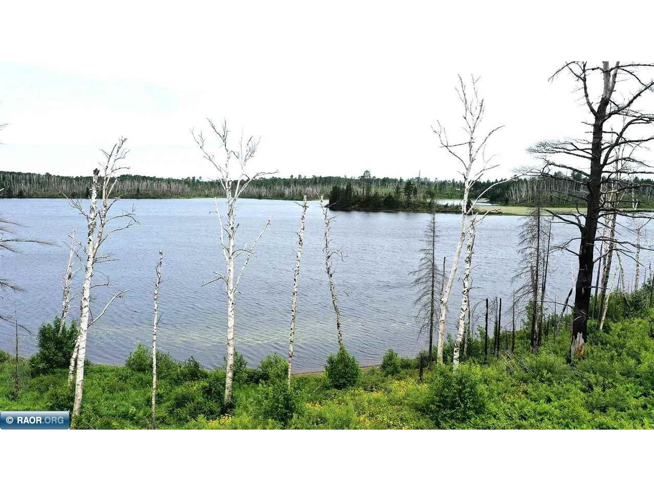 2377 N McDougal LN Isabella MN 55607 - North Mc Dougal Lake 150350 image1