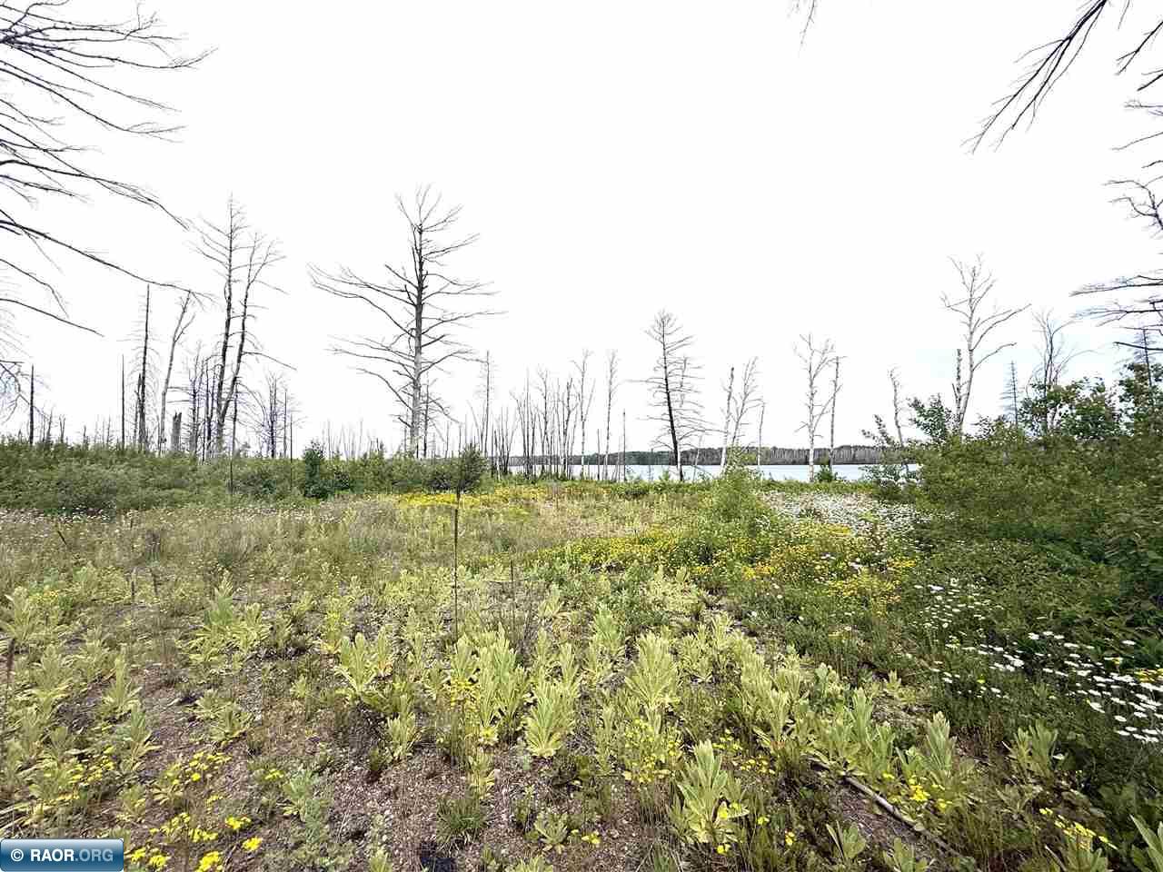 2377 N McDougal LN Isabella MN 55607 - North Mc Dougal Lake 150350 image8