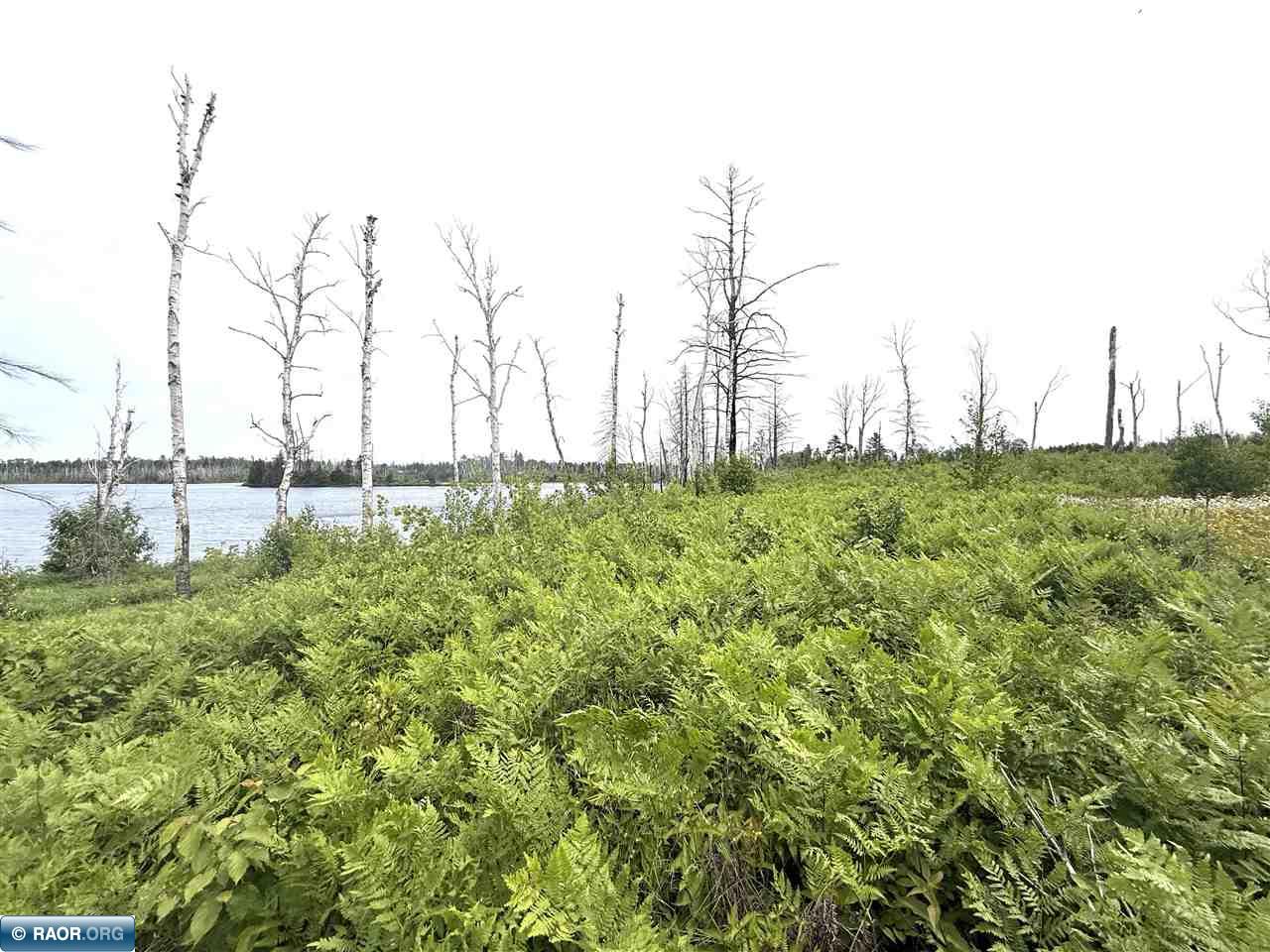 2377 N McDougal LN Isabella MN 55607 - North Mc Dougal Lake 150350 image9