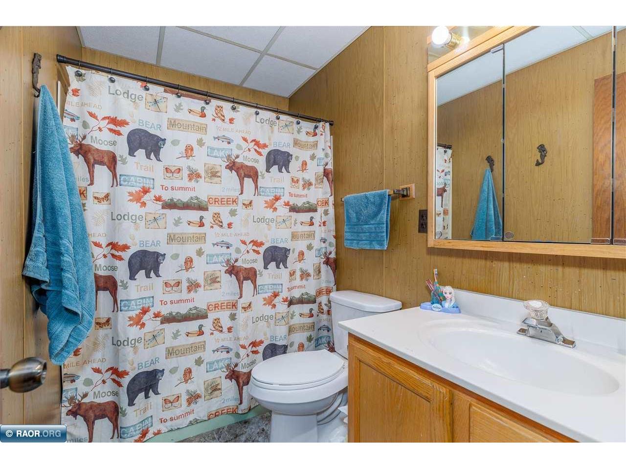 2641 Priests Point Road Ely MN 55731 - Bear Island Lake 149787 image25