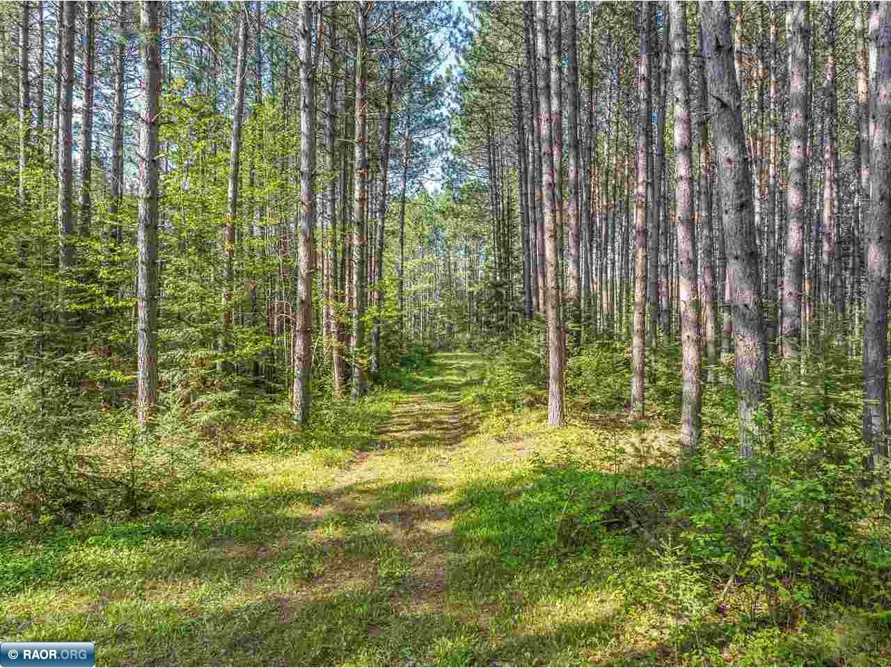 2685 Elliots Lake Road Eveleth MN 55734 - Elliot Lake 150051 image10