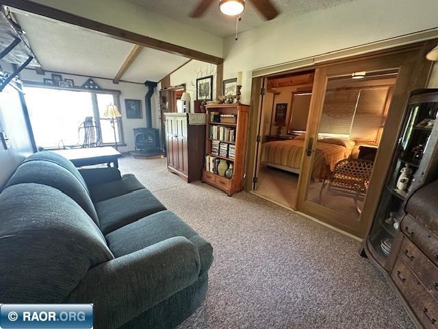 2734 Bear Island River Rd Ely MN 55731 - Bear Island Lake 149639 image17