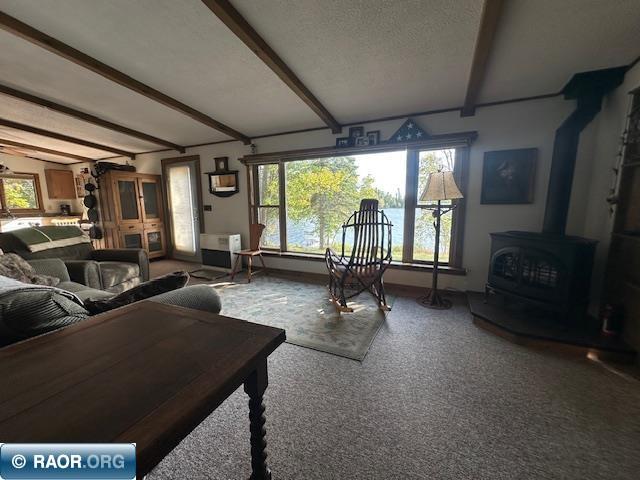 2734 Bear Island River Rd Ely MN 55731 - Bear Island Lake 149639 image18