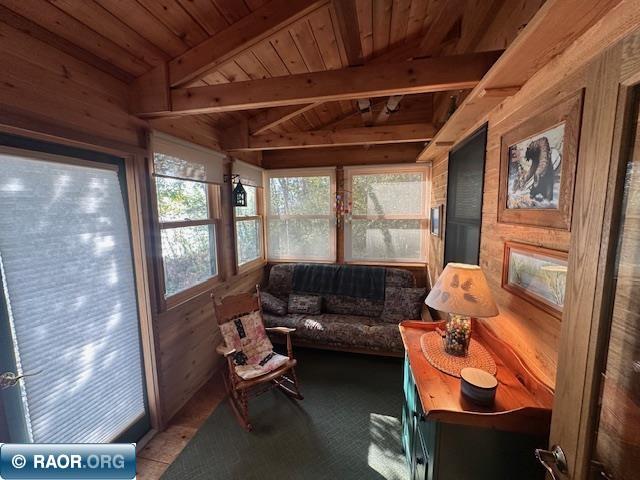 2734 Bear Island River Rd Ely MN 55731 - Bear Island Lake 149639 image20