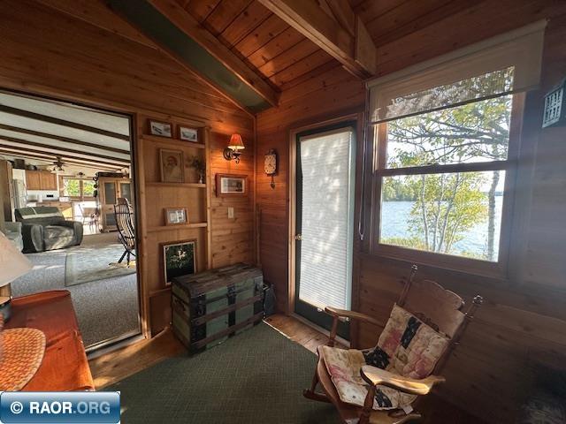 2734 Bear Island River Rd Ely MN 55731 - Bear Island Lake 149639 image21