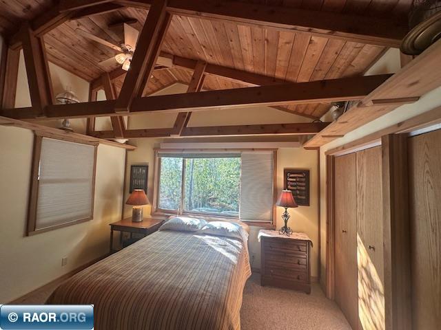 2734 Bear Island River Rd Ely MN 55731 - Bear Island Lake 149639 image23