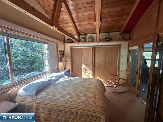 2734 Bear Island River Rd Ely MN 55731 - Bear Island Lake 149639 image24