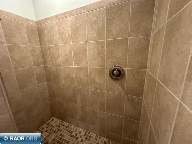 2734 Bear Island River Rd Ely MN 55731 - Bear Island Lake 149639 image27