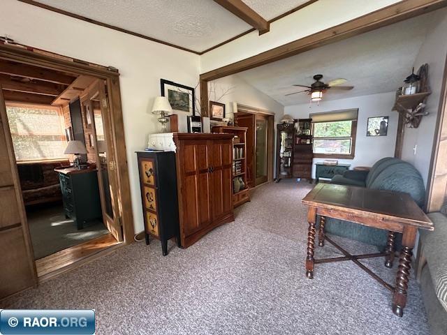 2734 Bear Island River Rd Ely MN 55731 - Bear Island Lake 149639 image28