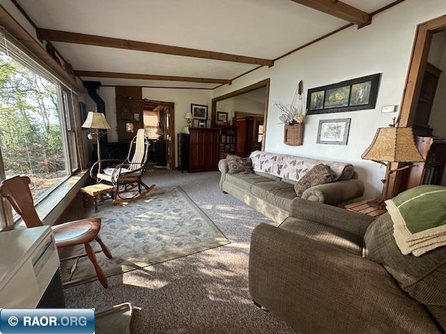 2734 Bear Island River Rd Ely MN 55731 - Bear Island Lake 149639 image3