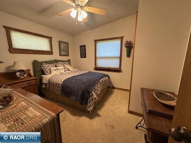 2734 Bear Island River Rd Ely MN 55731 - Bear Island Lake 149639 image31