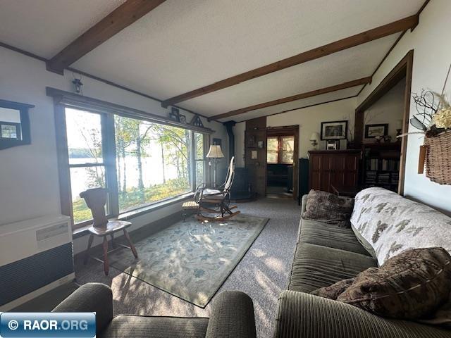 2734 Bear Island River Rd Ely MN 55731 - Bear Island Lake 149639 image5