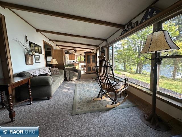 2734 Bear Island River Rd Ely MN 55731 - Bear Island Lake 149639 image6