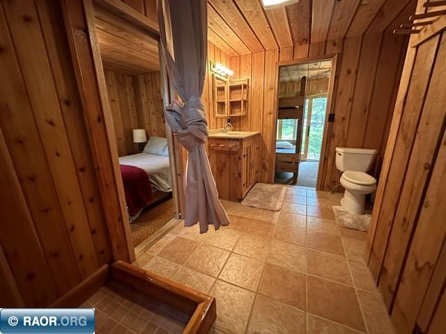 2763 Van Vac Rd Ely MN 55731 - Burntside Lake 150280 image21