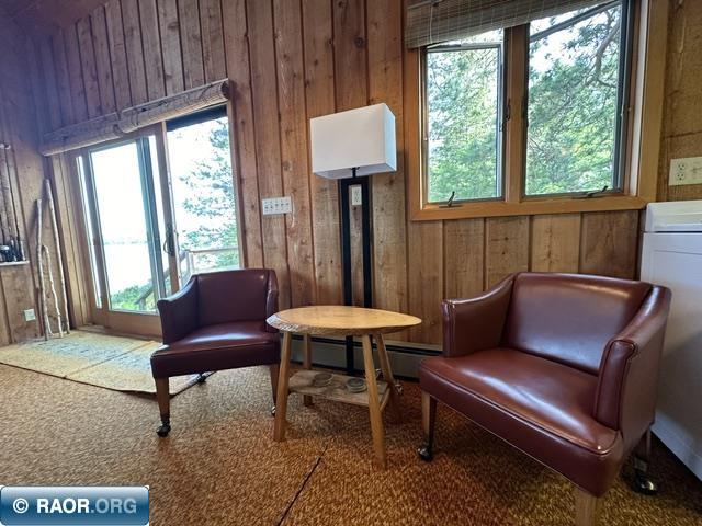 2763 Van Vac Rd Ely MN 55731 - Burntside Lake 150280 image9