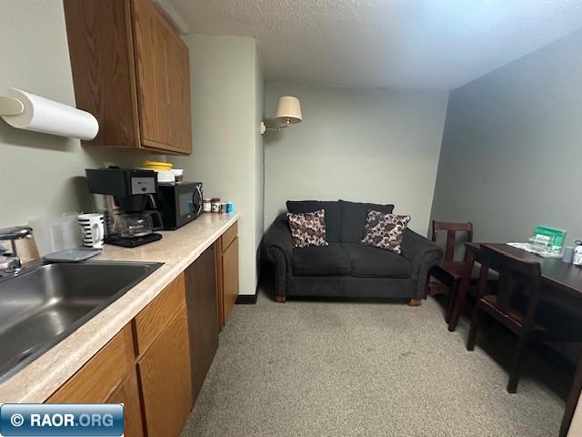 301 Chestnut Street Virginia MN 55792 149319 image11