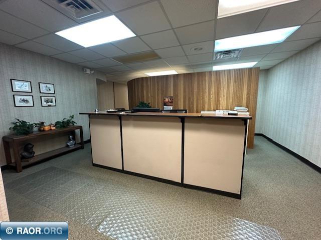 301 Chestnut Street Virginia MN 55792 149319 image17