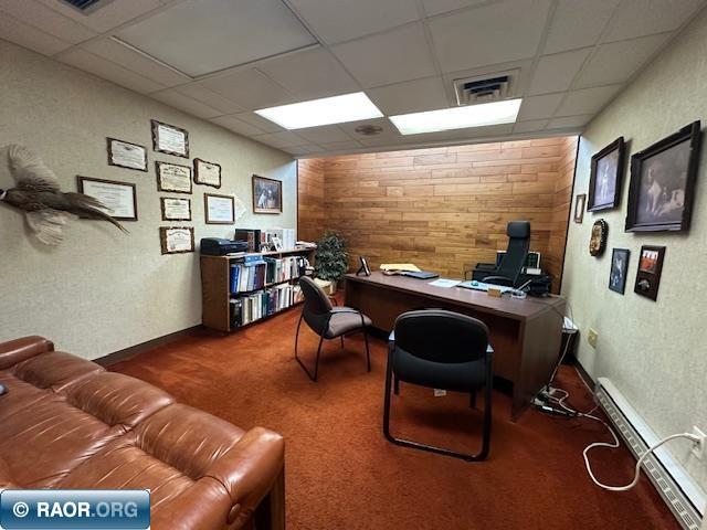 301 Chestnut Street Virginia MN 55792 149319 image18