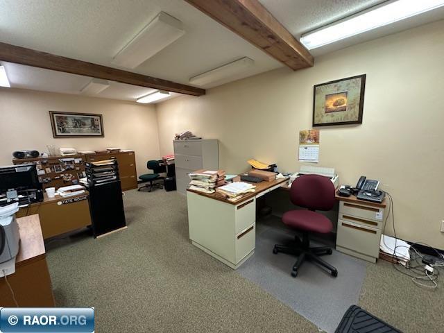 301 Chestnut Street Virginia MN 55792 149319 image22