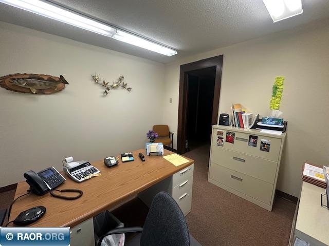 301 Chestnut Street Virginia MN 55792 149319 image9